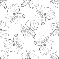 European magnolia. Seamless pattern with outline magnolia flower, ornate buds and leaves on the white background. Elegance floral background in contour style for summer design and coloring book