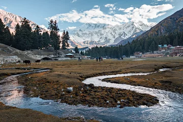 Papier Peint photo Nanga Parbat Beautiful view of Nanga Parbat mountain, picture taken on the way to Nanga Parbat Base Camp, Pakistan