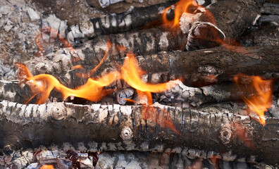 Burning firewood in fire-box of boiler in country cottage.