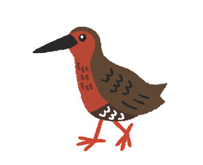 リュウキュウヒクイナの手描きイラスト