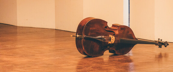 Indoor concert background abstract people performing music instruments in symphony orchestra double bass cello © Michael