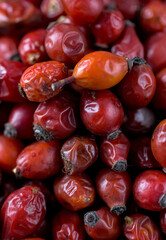 dried rosehip fruits on the table