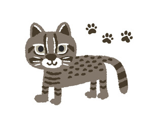 イリオモテヤマネコと足跡の手描きイラスト