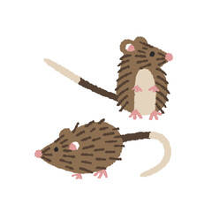 ケナガネズミの手描きイラスト
