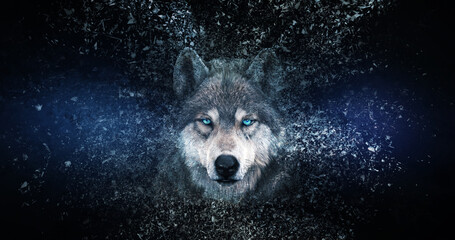Wolf wallpaper with decay effect. © Subareesh