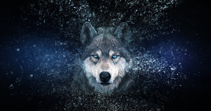Wolf wallpaper with decay effect.