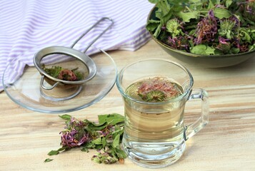 Herbal tea made from dried monarda, lat. Monarda didyma. Fragrant herb is used in tradicional medicine as a medicinal plant from time of Native Americans. Smelling like bergamot.