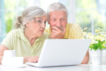 confused old couple with laptop at home