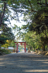 Red torii gate of Kasuga-taisha Shrine in the forest, Nara Park