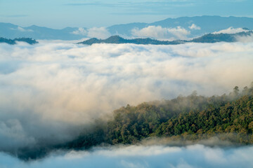 fog in the mountains