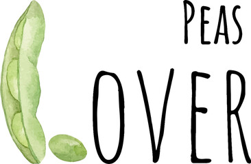 Watercolor illustration of green edamame beans. Green soybeans and seed. Asian food. Edamame lover