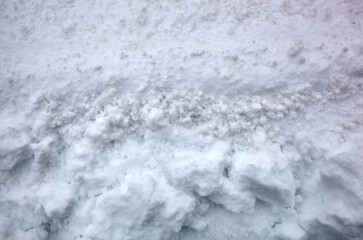 Winter snow in park. Snowy white texture. Snowflakes