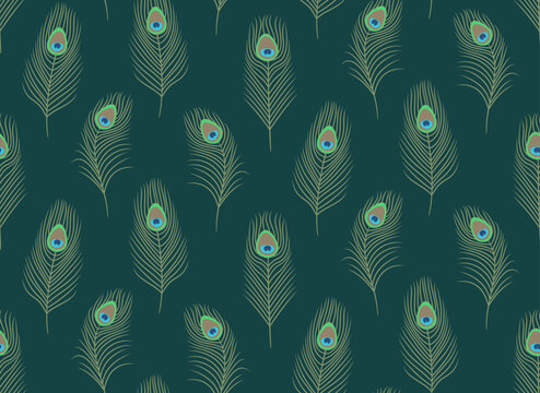 Seamless pattern with peacock feathers. Beautiful nature texture in flat style.