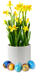 Yellow narcissus flower  in white ceramic pot, decoration with colorful hand painted Easter eggs, isolated. Minimum drop shadow. - obrazy, fototapety, plakaty