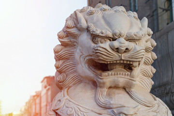 A large sculpture of a Chinese dragon on the street among the houses. Sunrise