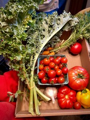 fresh vegetables in a box