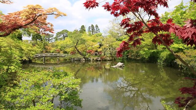 Stone bridge across the Hojo-ike pond surrounded by red linden trees. Eikan-do, the official name is Zenrin-ji, is a temple famous for the Buddha and the main temple of Jodoshu Buddhism, Kyoto, Japan.