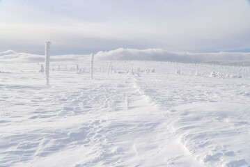 Winter mountain landscape. Karkonosze in winter in Poland.