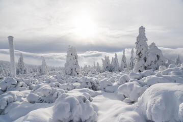 Winter mountain landscape. Karkonosze in winter in Poland.