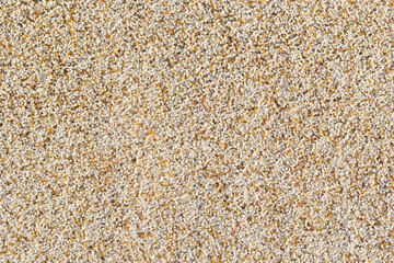 Decorative white wall plaster pattern stylized in bark beetle texture. The white texture of the surface of the wall covered with decorative plaster of the woodworm type, close-up abstract background
