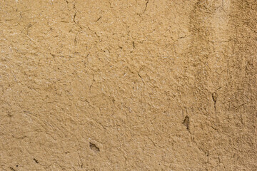 Decorative white wall plaster pattern stylized in bark beetle texture. The white texture of the surface of the wall covered with decorative plaster of the woodworm type, close-up abstract background
