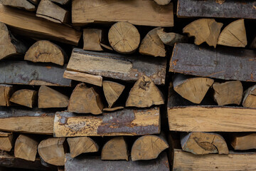 logs lie on the ground after logging. firewood is prepared for heating