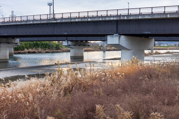 日本の岡山県岡山市で散歩中に見た川