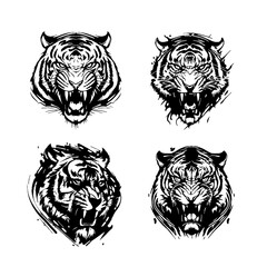 4 tigri