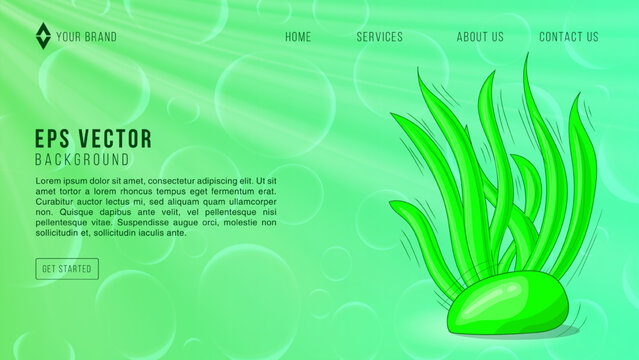 Green coral web page ocean banner design template vector