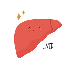 Vector illustration of a happy healthy liver