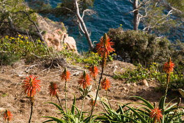 Jardines de Cap Roig