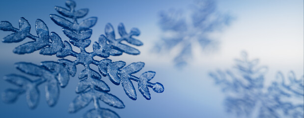 Winter Background with Natural Crystalline Snowflake. Christmas Banner with copy-space.