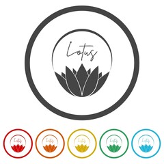 Lotus logo. Set icons in color circle buttons