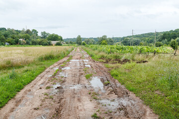 Fototapeta na wymiar Broken dirt road in the village with lots of muddy puddles after rain. Off-road Road with puddles and mud. Spring country road. A dirt road in the village. Rural landscape with a dirt road