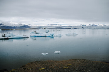 Many icebergs and ice floes in the glacial lagoon jökulsárlón in iceland, which has broken away...