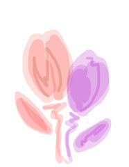 Colored tulip flowers