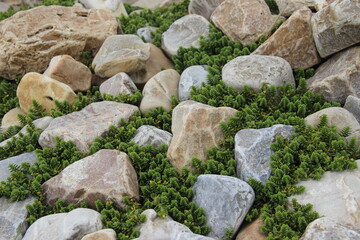 Bretagne, Perros-Guirec, France.