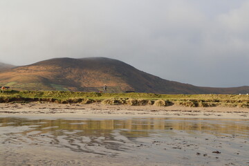 Mountain in the rye field 