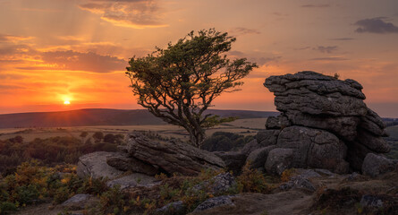 Emsworthyu Rocks, Dartmoor, UK