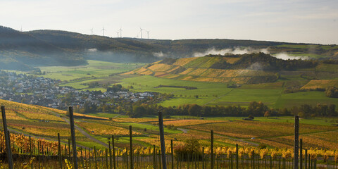 Landscape with fog and wine hills.