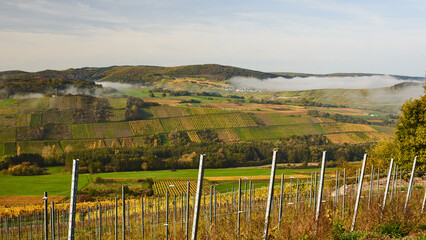 Fog on an autumn day. Landscape with fance.