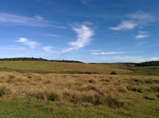 Obraz premium Horton Plains National Park