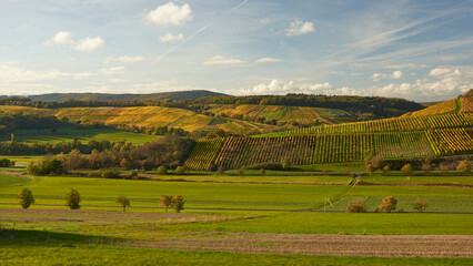 Beautiful view over wine hills in autumn