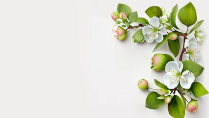 Beautiful spring flowers, apple blossoms, background/wallpaper/invitations/cards, generative ai, digital art