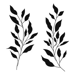 Silhouette of tree branches with leaves. Branches collection. Hand drawn decorative elements. - Vector illustration