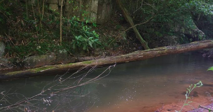 Datanla waterfall in southern Vietnam