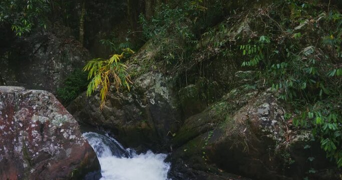 Datanla waterfall in southern Vietnam