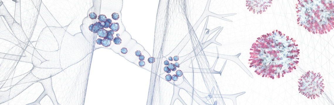 Respiratory syncytial virus particles, 