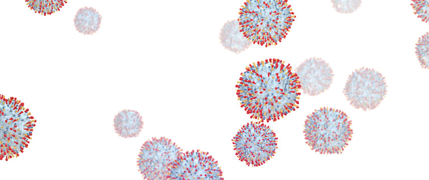 Respiratory syncytial virus particles, 