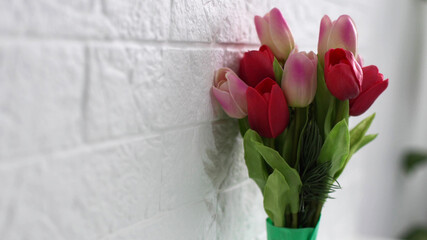 bunch of tulips isolated on white background